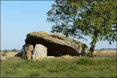 Je vous propose de découvrir le dolmen de la Bie, au Rochereau. Ancienne commune de l'arrondissement de Poitiers, elle se situe dans le département ...