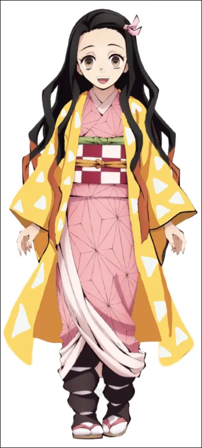 Qui voit-on sur cette photo ?