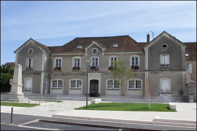 Lequel de ces films de Georges Lautner est sorti en 1980 ?