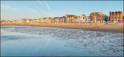 Cette ville accueille l'un des plus grands carnavals d'Europe :