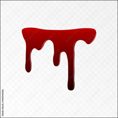 Où se situe la blessure de Longue Plume après son combat avec Nuage de Feu ?