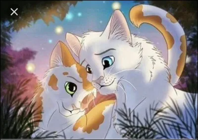 Tu as trois petits. 
Ils ont trois lunes et ils veulent sortir voir le camp. Tu te mets :