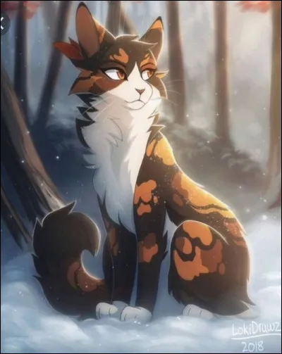 Une patrouille a envoyé un apprenti pour prévenir dun combat avec une patrouille du Clan de la Rivière. Quelle est ta réaction ?