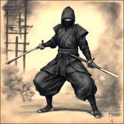 Dans quelle série d'animation japonaise le héros suit-il une formation de ninja ?