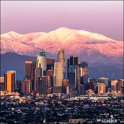 Quel policier de série télévisée est lieutenant à Los Angeles ?