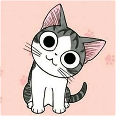Comment s'appelle ce chaton de manga ?