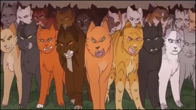 Quel chat hais-tu le plus ?