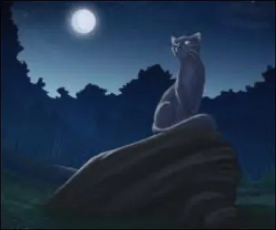 Combien de vie possède le chef ?