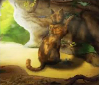 Trouve une phrase correcte ;