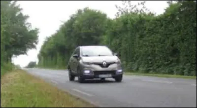 Comment les clans appellent-ils les voitures qui passent sur la route ?