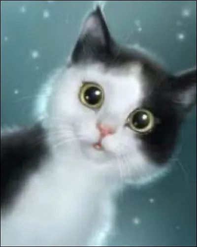 À partir de combien de lunes les chatons deviennent-ils apprentis ?