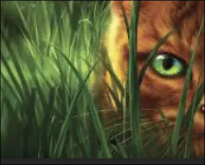 Quel est le premier mot que lon place dans le nom des apprentis ?