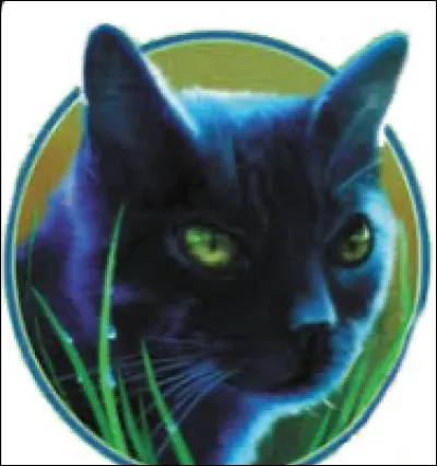 Quel est le premier mot que lon place dans le nom des guerriers ?