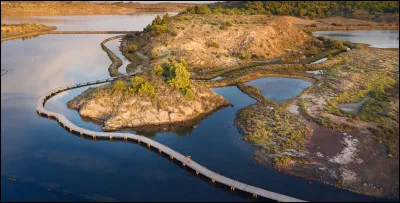 Qui est l'auteur de cette citation ? - "Il est plus facile de nager dans l'eau sale que dans l'eau propre."