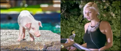 Comment le cochon de Nadège se nommait-il dans 'Les Anges 8' ?