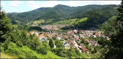 Ville de Lorraine s'étant développée grâce à l'ancien bassin houiller de Sarre :
