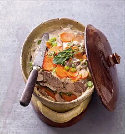 Quel est ce plat flamand signifie littéralement ''viande en petit pot'' ?