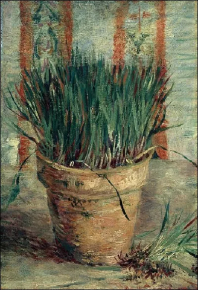 Quel peintre néerlandais est lauteur de ce tableau intitulé ''Pot de fleurs à la ciboulette'' ?