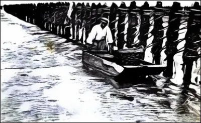 La personne ayant les membres de petite taille et un tronc et un crâne de grande taille souffre d'...