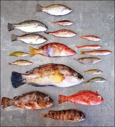 Quelle pierre délivrait des mauvais rêves ?