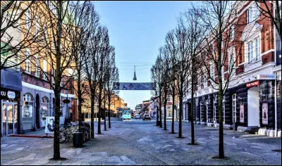 Dans quel pays se trouve Herning, ville de 90 000 habitants ?