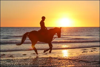 Où voudrais-tu le plus vivre ?