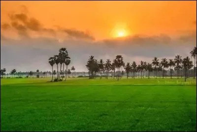 Quel drapeau peut-on distinguer ici ?