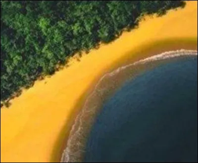 Ici, on peut voir un bout de drapeau du/de la...