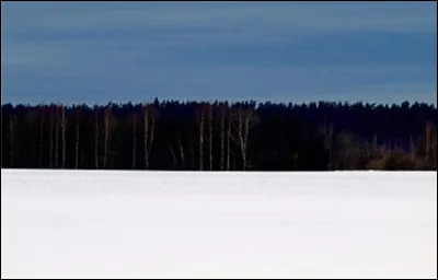 Entre la neige, les arbres et le ciel, on distingue un drapeau. Lequel ?