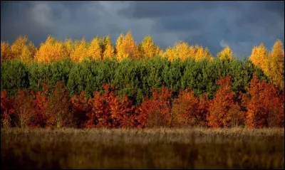 Quel drapeau est visible sur cette photo ?