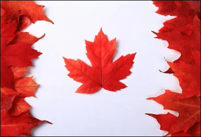 Quel drapeau pouvez-vous remarquer ici ?