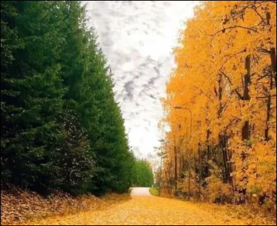 Saurez-vous reconnaître le drapeau ?