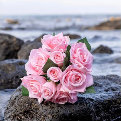 Qui voulait "changer les choses avec des bouquets de roses" ?