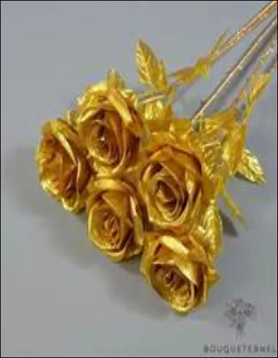 Quelle est la couleur des fleurs ?