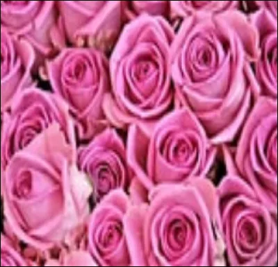 Quelle est cette couleur ?