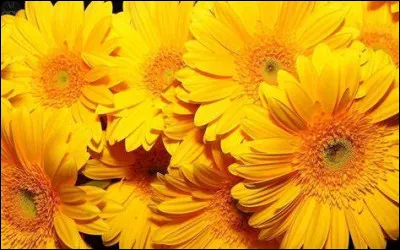 Quelle est cette couleur ?