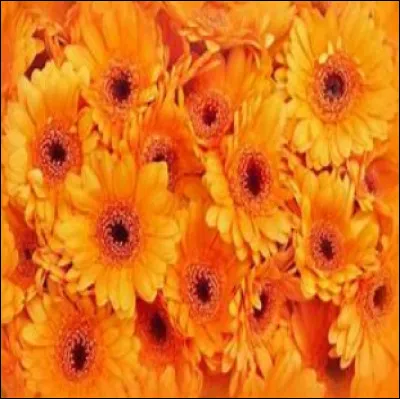 Quelle est cette couleur ?