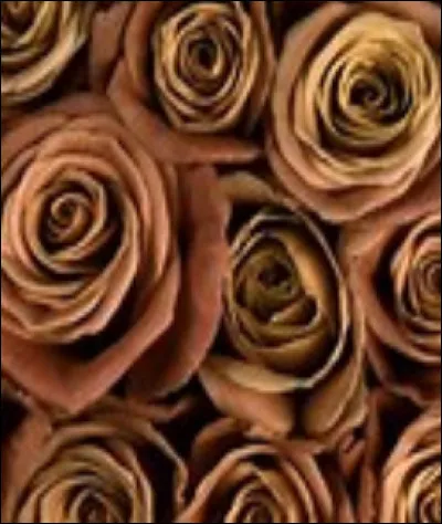 Quelle est cette couleur ?