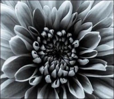 Quelle est cette couleur ?