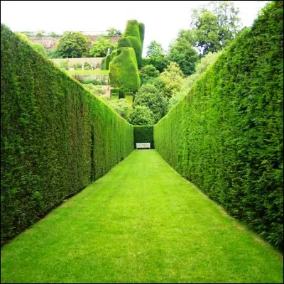 En sport, quel lieu invent&eacute; aux Jeux olympiques de 1908, d�une largeur de 1,22 m&egrave;tre, peut &ecirc;tre parsem&eacute; de haies ?