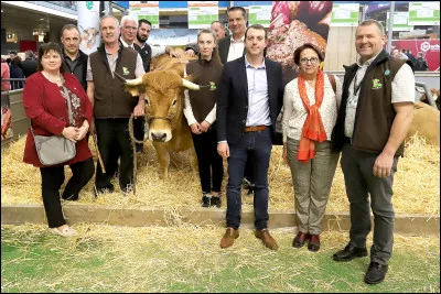 Les Wriggles : Julie la petite olive. (cette chanson est sortie en 2002)Julie la petite olive r&ecirc;vait de voyagerMais elle &eacute;tait captive d'un rameau d'olivierElle tanait ses copines &agrave; longueur de journ&eacute;eAvec les Philippines et Saint-Germain-des-Pr&eacute;sElle a fini par voyager, o&ugrave; a-t-elle fait quatre fois le tour de monde ?