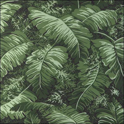 Le bananier est un arbre.