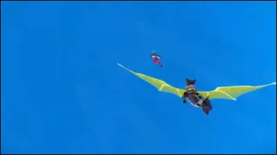 Quelle compétence Ladybug et Chat Noir ont-ils dû acquérir pour vaincre ce super-vilain ?