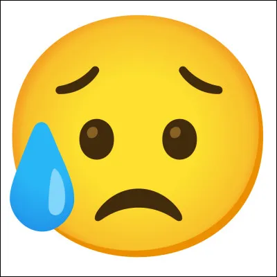 (Dernière question). Vous avez commencé une belle journée mais il s'est passé quelque chose qui a mal fini. Qu'est-ce que c'est ?