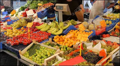 "Maestro" est le nom d'une variété de prune :