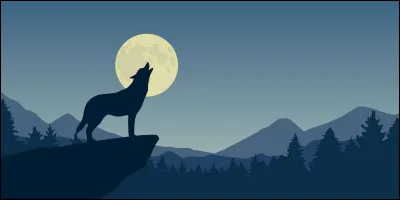 Comment appelle-t-on le cri d'un chien-loup ?