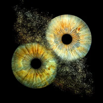 De quelle couleur est l'iris d'un loup à sa naissance ?