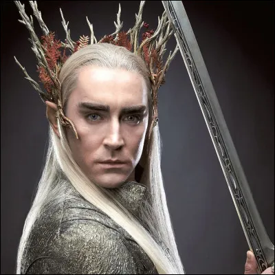 Que voulait récupérer le roi Thranduil dans la Montagne Solitaire ?