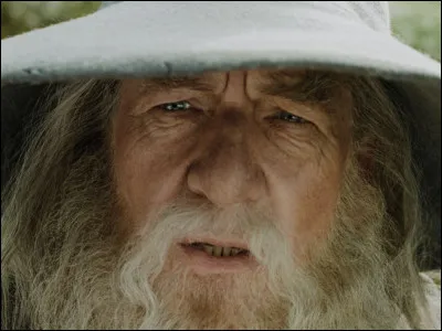Dans "La Communauté de l'anneau", quel est le surnom donné à Gandalf par les Hobbits ?