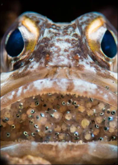 C'est en faisant n'importe quoi qu'on devient n'importe qui !